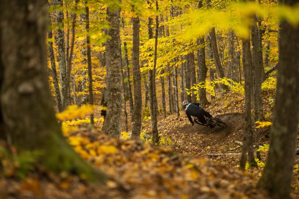 Ogden Utah trails